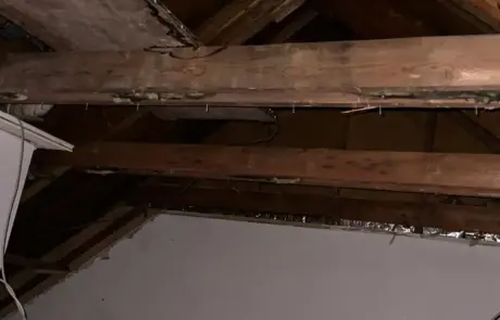 sanierungsfahrplan-isfp-spandau-berlin-020 Innendämmung der Außenwände und fachgerechte Fenstermontage im Altbau während der energetischen Baubegleitung.